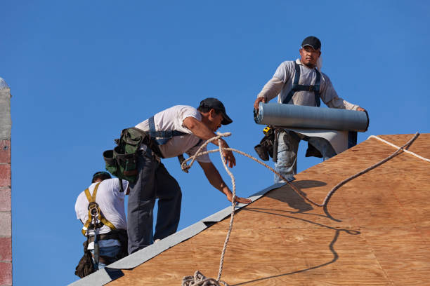 Professional Roofing Contractor in Waverly, OH